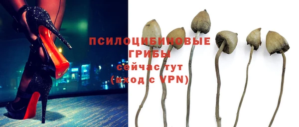 амф Остров